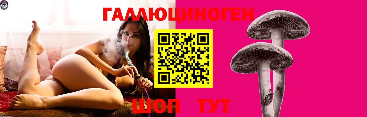 Псилоцибиновые грибы GOLDEN TEACHER  Псилоцибиновые грибы ЛСД  Вход с VPN  Кизилюрт 